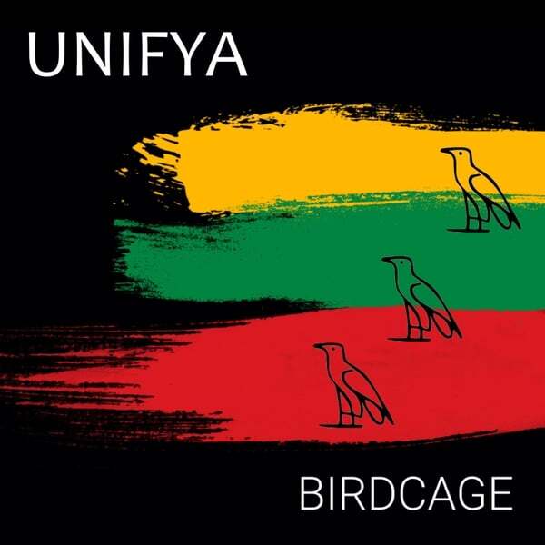 Cover art for Birdcage